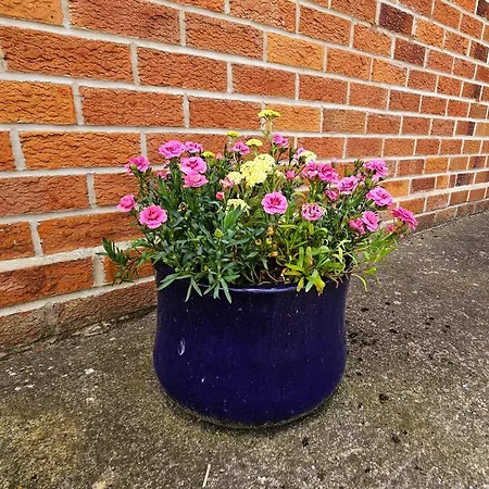 Beckside - Dog Friendly One Bed Holiday home York